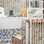 Tatil Evi Sol Levante Amalfi